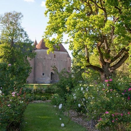 Chateau D'Ainay-Le-Vieil Exteriör bild
