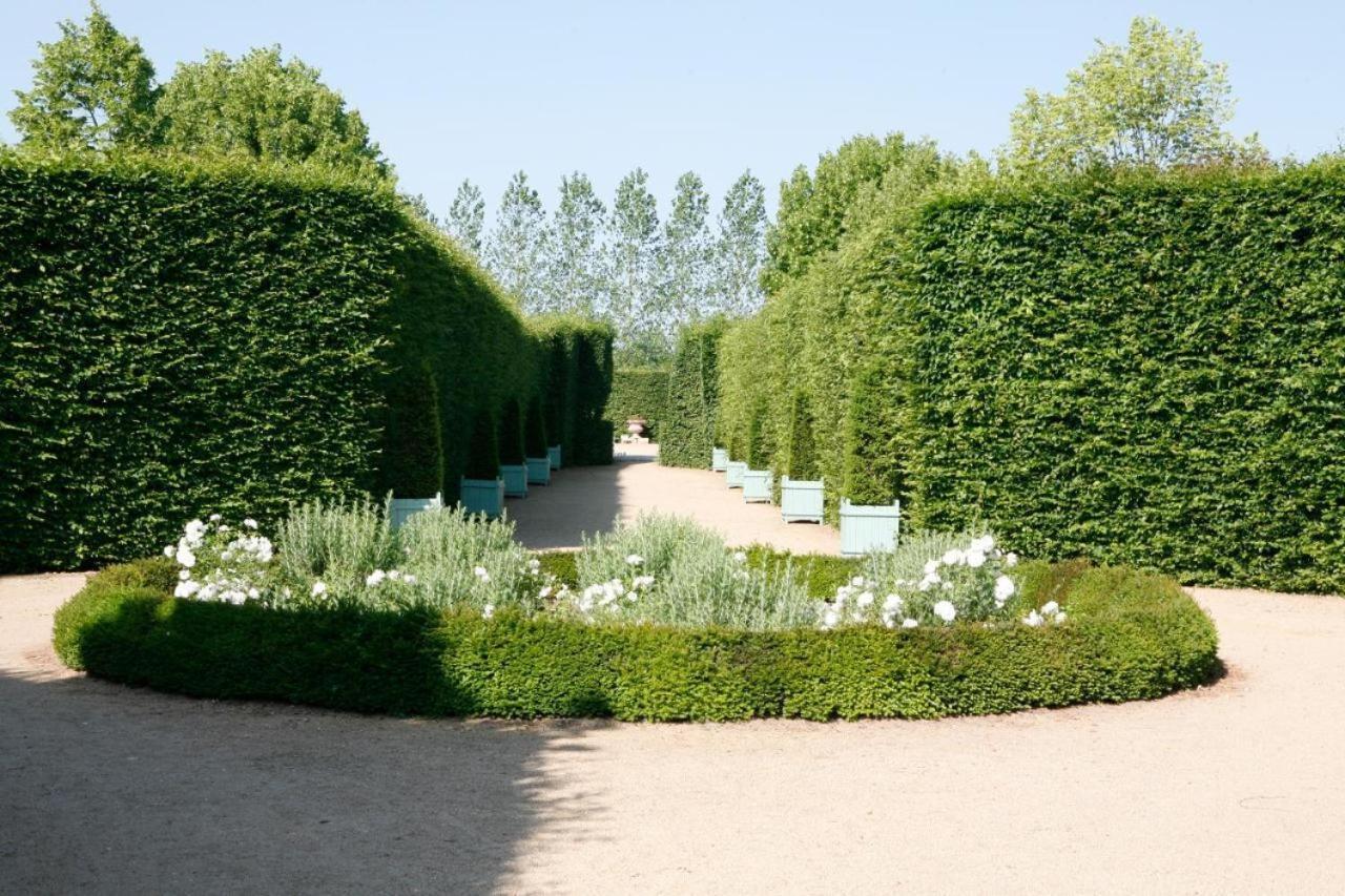 Chateau D'Ainay-Le-Vieil Exteriör bild